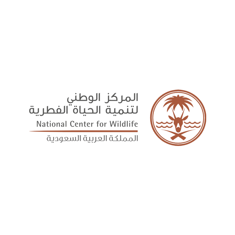 تصميم وتنفيذ الباقات السياحية الموسمية للمناطق المحمية بالمملكة